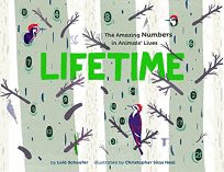 LIFETIME