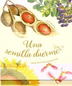 UNA SEMILLA DUERME