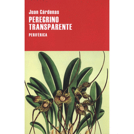 PEREGRINO TRANSPARENTE
